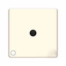 ДвухполюсныйПоворотный выключатель 25А 250В, без подсветки, beige , FEDE, FD03160-A